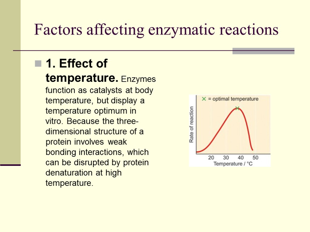 Factors affecting enzymatic reactions 1. Effect of temperature. Enzymes function as catalysts at body